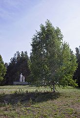 photo "***"