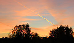 photo "Colors of the sunset."