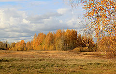 photo "From Russia with love."