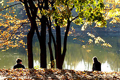 photo "Autumn silence"