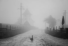 photo ".."