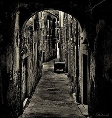 photo "***"