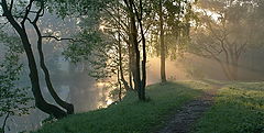 photo "***"