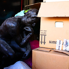 photo "Cognitive dissonance"