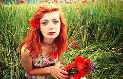 photo "..."