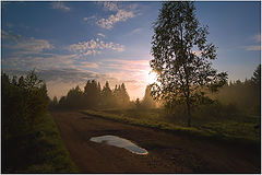 фото "след"