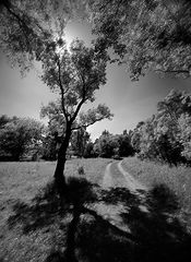 photo "***"