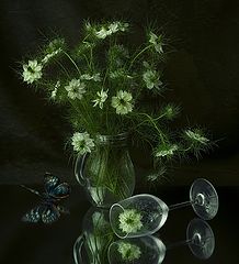 фото "Ведьмино зелье"