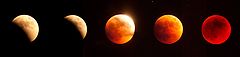 photo "Moon eclipse"