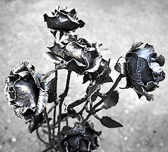 фото "Розы от кузнеца"