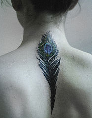 photo "feather"