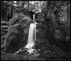 фото "Black Forest waterfall"