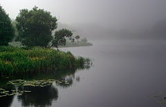 photo "***"