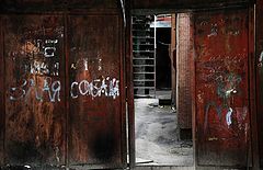 фото "злая собака"