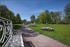 photo "invitation to sit on the bench"