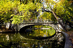 photo "Bridge in park"