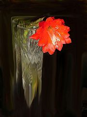 photo "***"