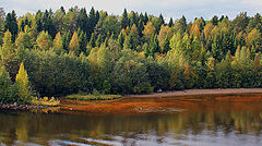 photo "Left Bank."