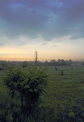 photo "***"