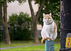 photo "A Meeting"
