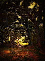 photo "Opium"