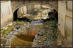 photo "low water"