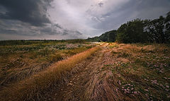 фото "Июнь приазовский"