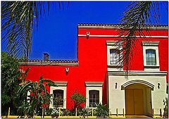 фото "Latin Colors"