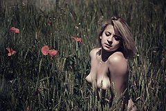 photo "..."