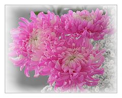 photo "***"