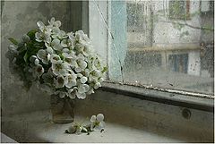 фото "С дождём."