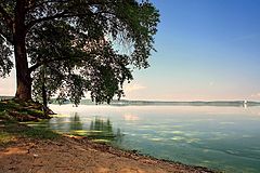 photo "***"