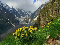 фото "Горный букет"