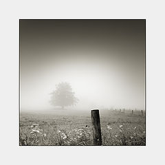 photo "those foggy days..."