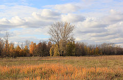 photo "Autumn colors."
