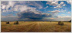 photo "***"