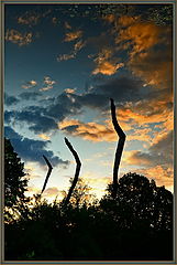 photo "***"