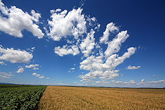 photo "Parade clouds II"