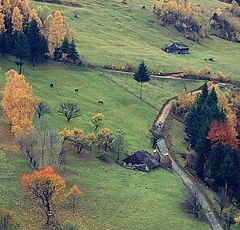 photo "..."