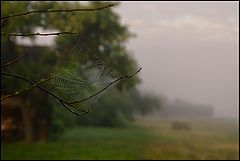photo "Hunting"