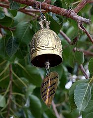 фото "somebodys bell"