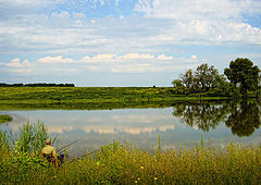 фото "..ловец облаков.."