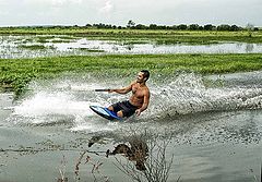 фото "Waterboarding in Old Myakka"