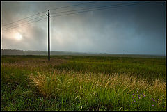 photo "***"