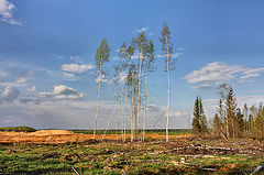 фото "Выжившие"
