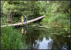 photo "bridge"