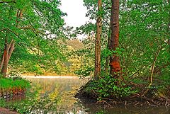 photo "My silent place...."