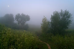 photo "***"
