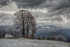 фото "первый снег"