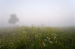 photo "***"